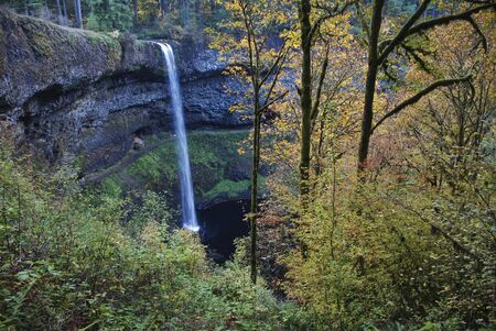 Long exposure of South Falls, Silver Falls State Park, Oregon.の写真素材