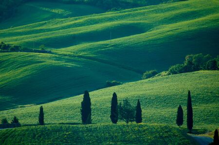 Rural countryside landscape in Tuscany region of Italy.の写真素材