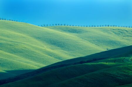 Green luxuriant sloping fields of wheat in the Tuscany region of Italy. This is in Val d'Orcia, a valley in the of Tuscany that is a UN World Heritage Site.の写真素材