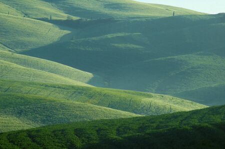 Green luxuriant sloping fields of wheat in the Tuscany region of Italy. This is in Val d'Orcia, a valley in the of Tuscany that is a UN World Heritage Site.の写真素材
