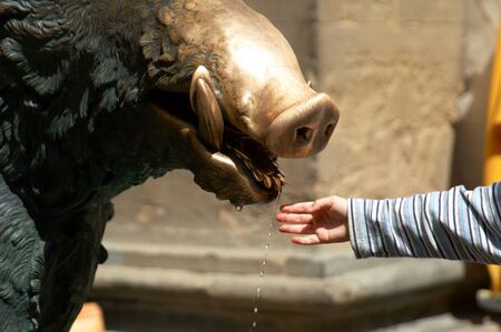 Statue of wild boar outside of Mercato Centrale, Florence Italyの写真素材