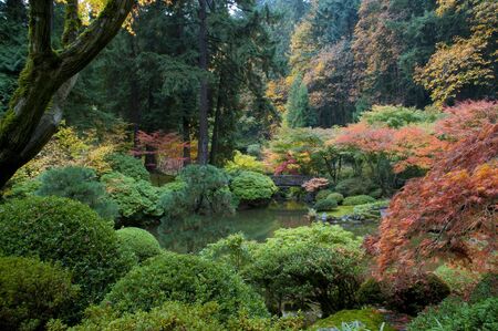 Autumn in the Japanese Garden, Portland, Oregonの写真素材