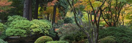 Autumn in the Japanese Garden, Portland, Oregonの写真素材