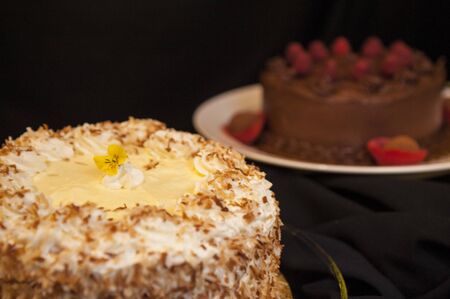 Two cakes, one white with coconut sprinkles, the other chocolate with raspberriesの写真素材