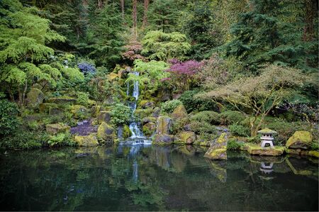 Reflecting pond in a Japanese gardenの写真素材