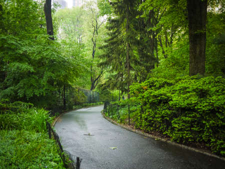 Sidewalks and forests in spring, Central Park, New York Cityの写真素材