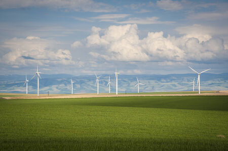 Wheat fields and wind turbines under a summer clouds in Washington Stateの写真素材