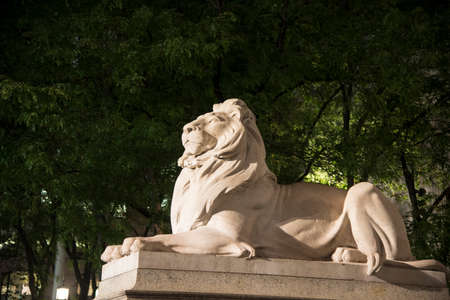 Marble lion outside the front entrance of main branch of New York City libraryの写真素材