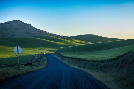 Black gravel road in the Palouse region of eastern Washington stateの写真素材