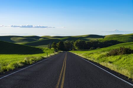 Empty highway in the Palouse region and wheat fields of Eastern Washington stateの写真素材