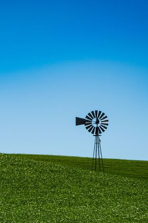 Landscape with the windmill and wheat fields in Eastern Washington stateの写真素材