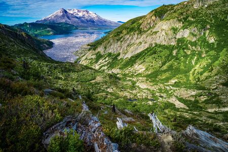 Spirit Lake and floating logs on the north side of Mount Saint Helensの写真素材
