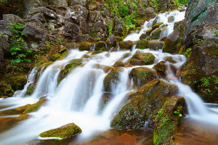 The Victoria Park is a Greenery of 12 8 acres Surface area on Cross Mountain