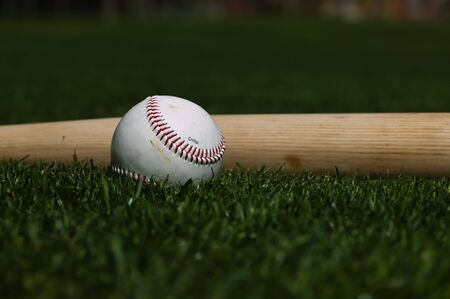 Baseball on the green grass of a ball fieldの写真素材