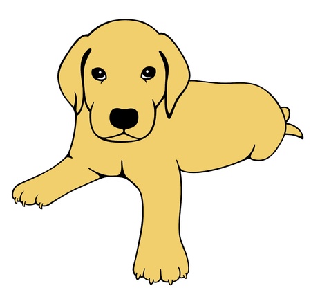 Labrador Puppyのイラスト素材