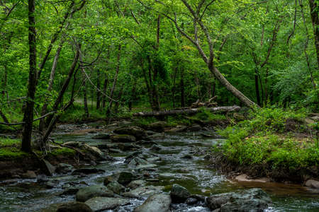 The fabulous Broad River that runs through Lake lure and Chimney Rock North Carloina.の写真素材