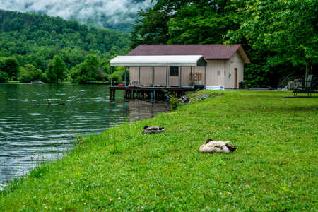 Lake Lure in North Carolina is an amazing place to spend some quality family time.の写真素材