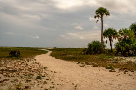 The walkways and sand dunes at Treasure Island Beach in West Central Florida.の写真素材