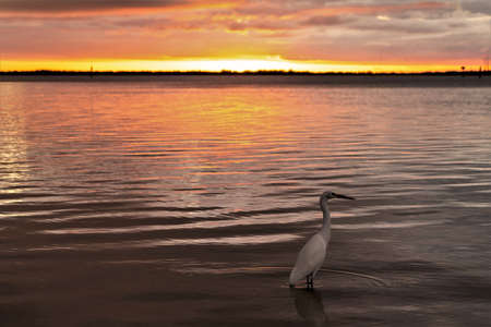 An amazing summer sunset over Tampa Bay in St Petersburg Florida.の写真素材