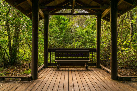 Much of the natural and man-made beauty you will see as you walk the trails of Sawgrass Lake Park.の写真素材