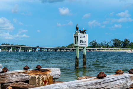 A warm and breezy day at the beach on Anna Maria Island in Southwest Florida.の写真素材