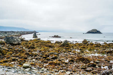 The fog is just lifting over the stunning harbor in Crescent City California.の写真素材