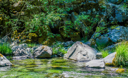 The gorgeous Redwood Creek that runs through the Redwood National Park in Northern California.の写真素材