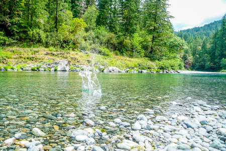The gorgeous Redwood Creek that runs through the Redwood National Park in Northern California.の写真素材