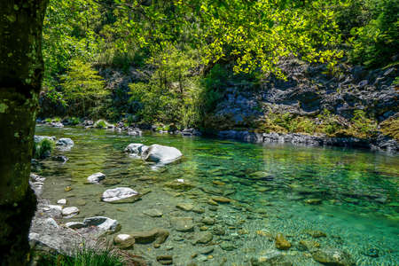 The gorgeous Redwood Creek that runs through the Redwood National Park in Northern California.の写真素材
