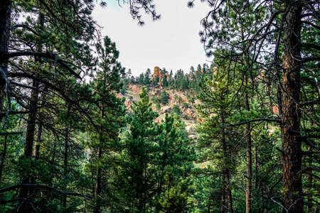 Hiking through the amazing Sunshine Canyon Trails in Boulder Colorado.の写真素材