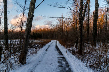 A tranquil sunset in the park on a cold winters day in Northeast Ohio.の写真素材