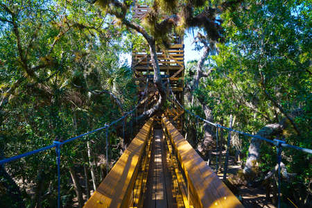 A suspension bridge that connects two towers that lets you walk amongst the tree tops at Myakka...