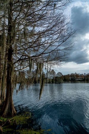 A look around the majestic Riverhills Park on the Hillsborough  River in Tampa.の写真素材