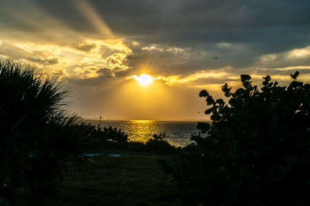 Walking around Emerson Point Preserve and catching a beautiful sunset over Tampa Bay.の写真素材
