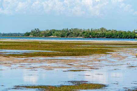 A park on Tampa Bay that shows some incredible views of the water.の写真素材