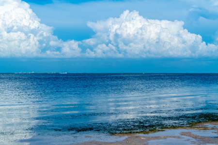 A park on Tampa Bay that shows some incredible views of the water.の写真素材