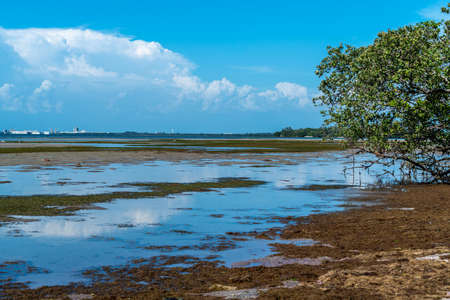 A park on Tampa Bay that shows some incredible views of the water.の写真素材
