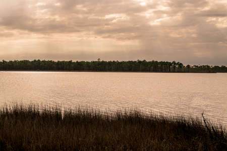 Tarkiln Bayou Preserve State Park near Pensacola Florida is a must see if your in the area.の写真素材