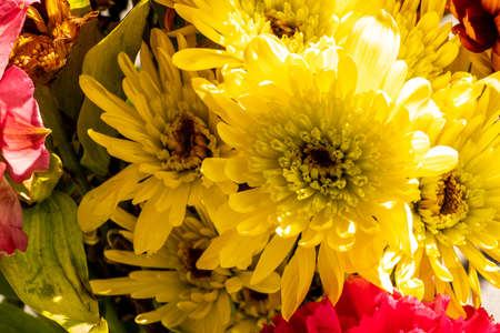 A bouquet of flowers that smells and looks incredible.の写真素材