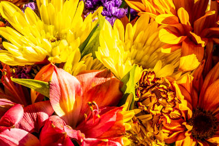 A bouquet of flowers that smells and looks incredible.の写真素材