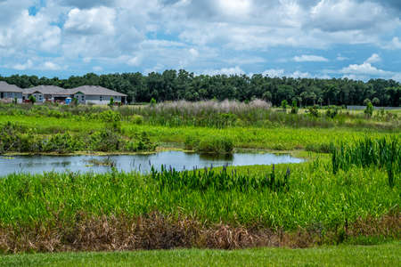 New homes go up as nature blossoms.の写真素材