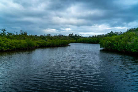 A look around Emerson Point Preserve on Tampa Bay in Florida.の写真素材
