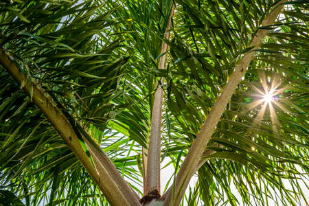 All the fantastic textures in nature are just magnificent.