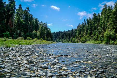 The incredibly clear waters of Redwood Creek that runs through Redwood National Park.の写真素材