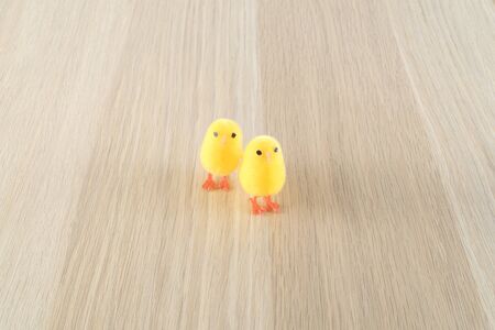 Easter, small chick and colored eggs