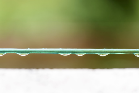 Rain drops on a wire