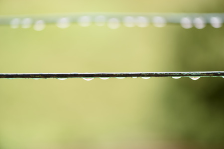 Rain drops on a wireの写真素材