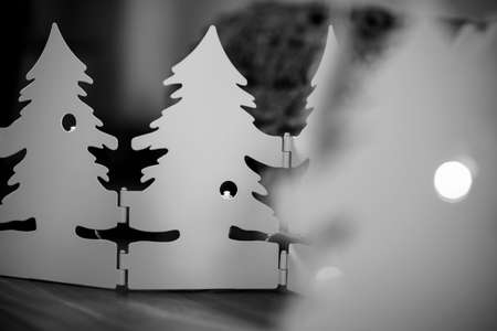 Christmas Decoration Black and Whiteの写真素材