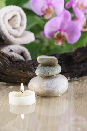 Spa Still Life, Stones, Candle and wood on green backgroundの写真素材