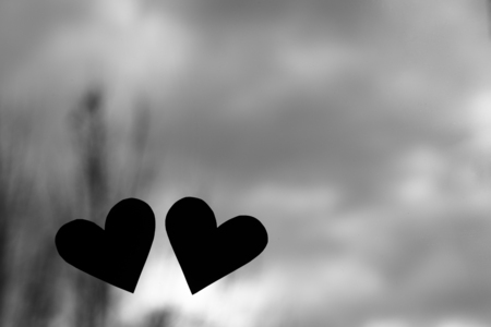 Two heart, Love and Valentine's Day Concept in black and whiteの写真素材